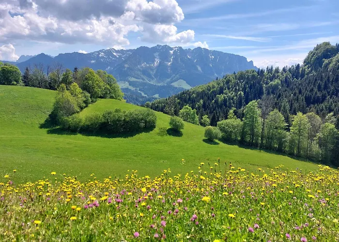Bergapart Goetschl Rettenschoess