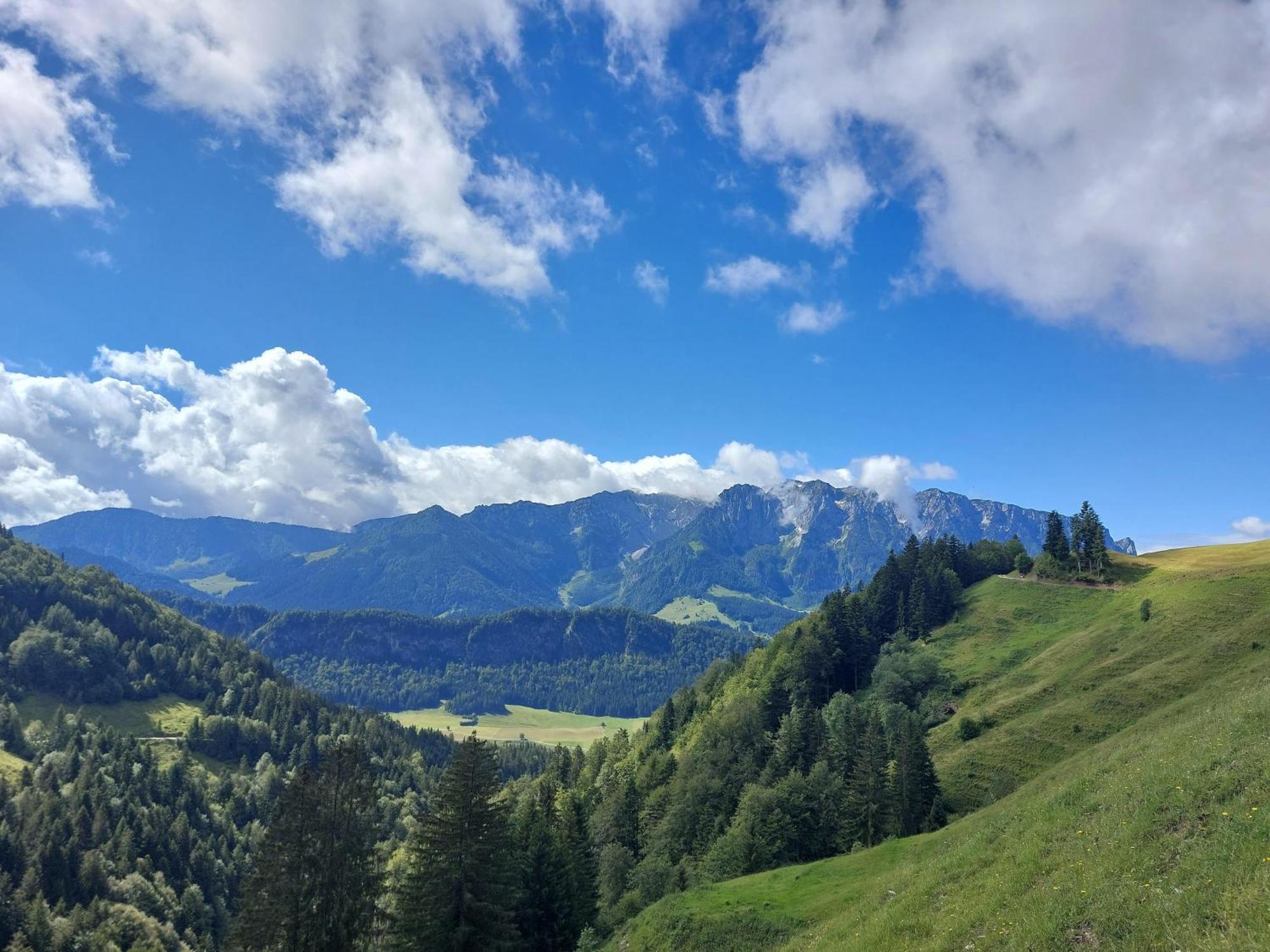 Bergapart Goetschl *